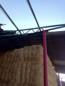 IMG_20150908_093015